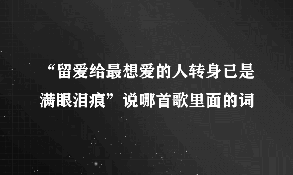 “留爱给最想爱的人转身已是满眼泪痕”说哪首歌里面的词