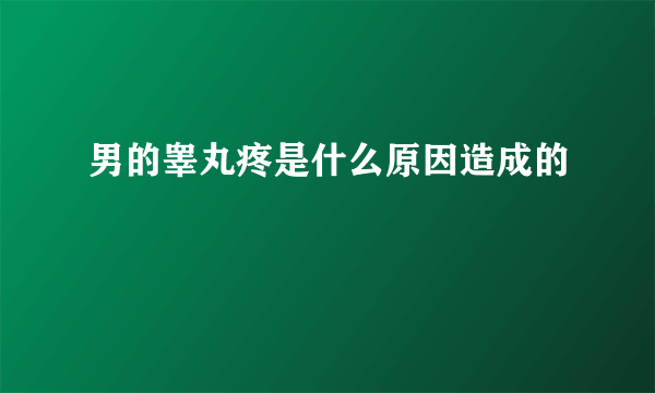 男的睾丸疼是什么原因造成的