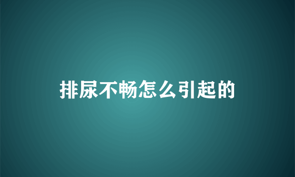 排尿不畅怎么引起的