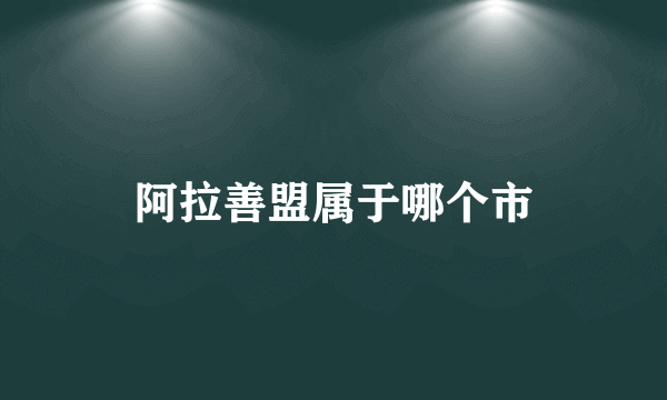 阿拉善盟属于哪个市