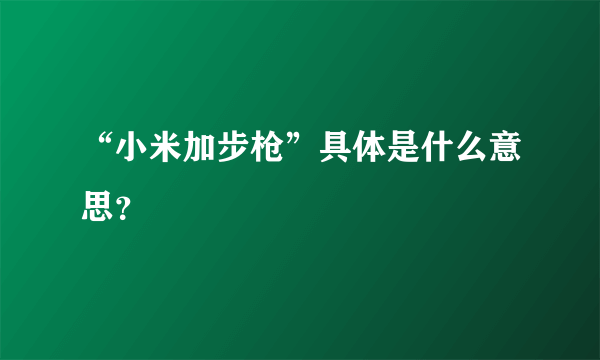 “小米加步枪”具体是什么意思？