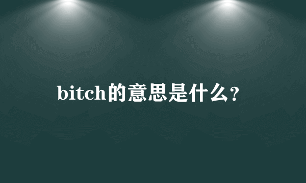 bitch的意思是什么？