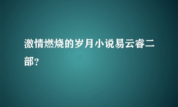 激情燃烧的岁月小说易云睿二部？