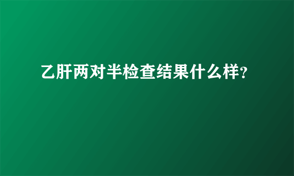 乙肝两对半检查结果什么样？