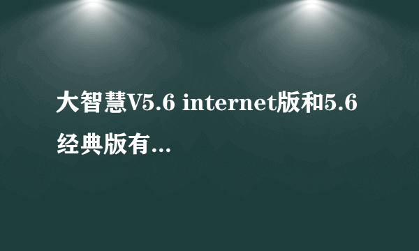 大智慧V5.6 internet版和5.6经典版有区别吗？