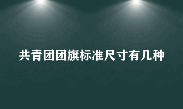 共青团团旗标准尺寸有几种