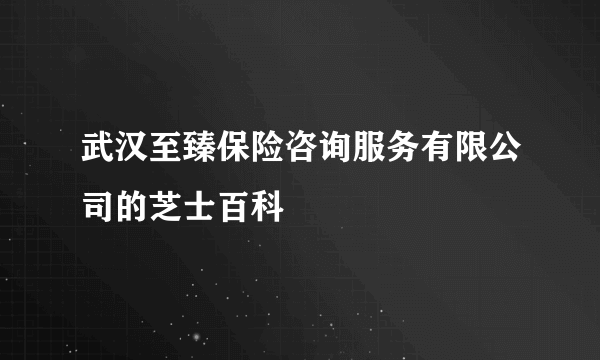 武汉至臻保险咨询服务有限公司的芝士百科