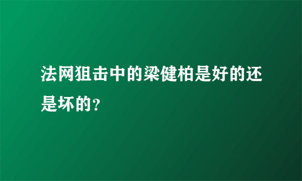 法网狙击中的梁健柏是好的还是坏的？