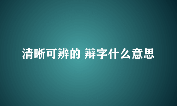 清晰可辨的 辩字什么意思