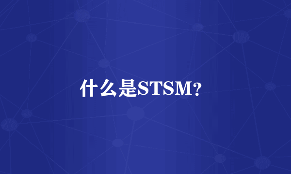 什么是STSM？