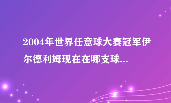 2004年世界任意球大赛冠军伊尔德利姆现在在哪支球队效力？如题 谢谢了