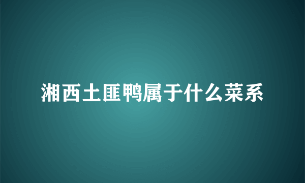 湘西土匪鸭属于什么菜系