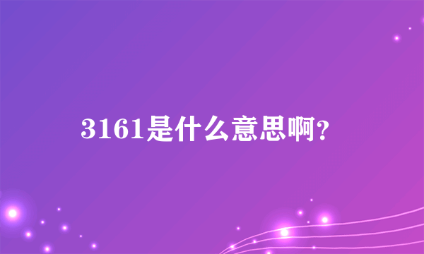 3161是什么意思啊？