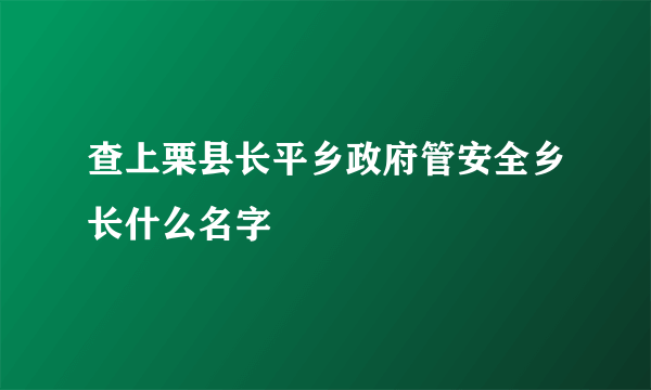 查上栗县长平乡政府管安全乡长什么名字