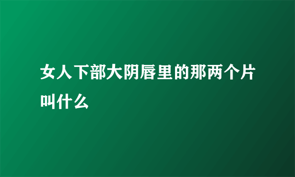 女人下部大阴唇里的那两个片叫什么