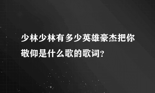 少林少林有多少英雄豪杰把你敬仰是什么歌的歌词？