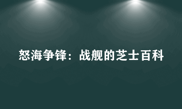 怒海争锋：战舰的芝士百科