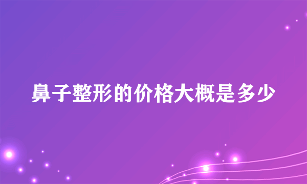 鼻子整形的价格大概是多少