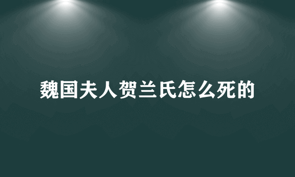 魏国夫人贺兰氏怎么死的