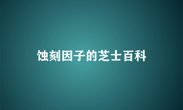 蚀刻因子的芝士百科