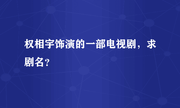 权相宇饰演的一部电视剧，求剧名？