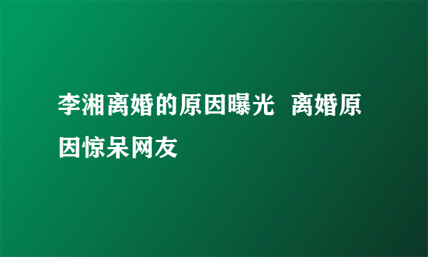 李湘离婚的原因曝光  离婚原因惊呆网友