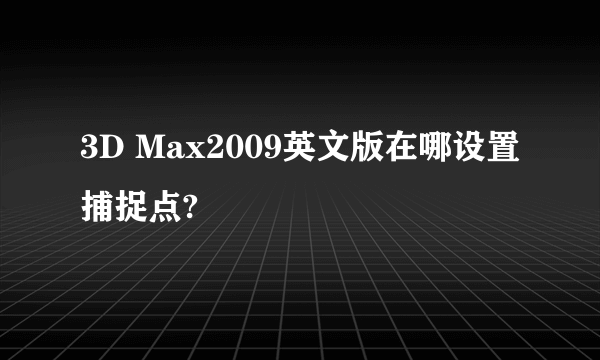 3D Max2009英文版在哪设置捕捉点?