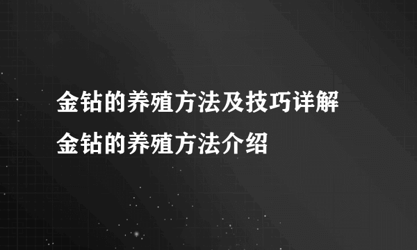 金钻的养殖方法及技巧详解 金钻的养殖方法介绍