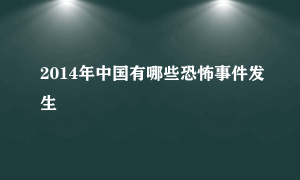 2014年中国有哪些恐怖事件发生