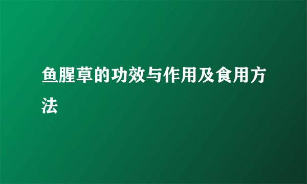 鱼腥草的功效与作用及食用方法