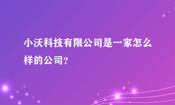 小沃科技有限公司是一家怎么样的公司？