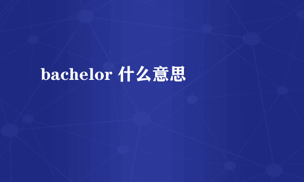 bachelor 什么意思