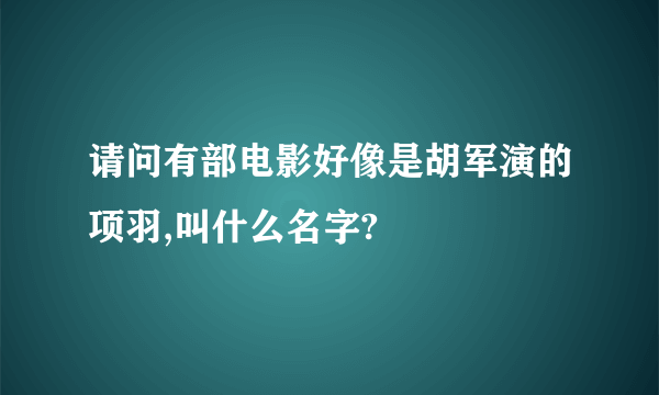 请问有部电影好像是胡军演的项羽,叫什么名字?