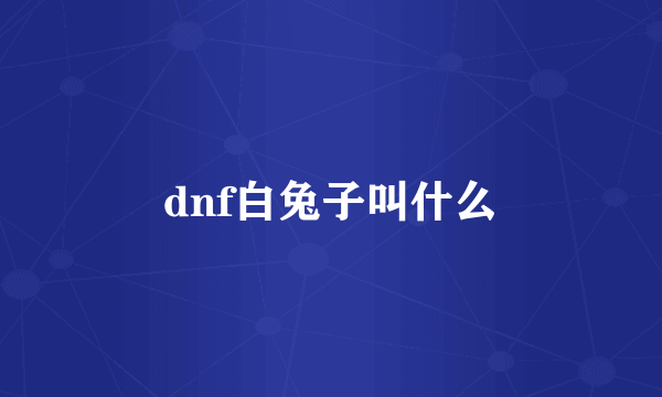 dnf白兔子叫什么