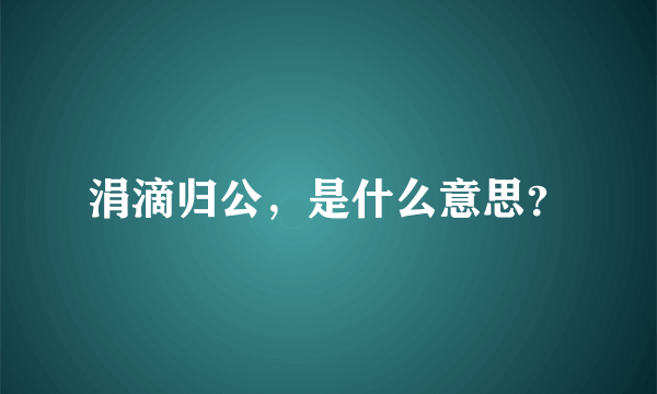 涓滴归公，是什么意思？