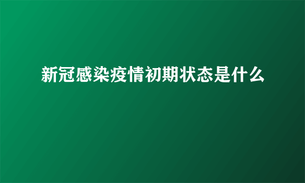 新冠感染疫情初期状态是什么