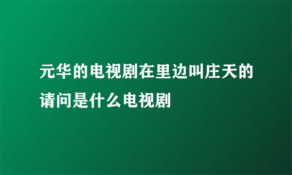 元华的电视剧在里边叫庄天的请问是什么电视剧