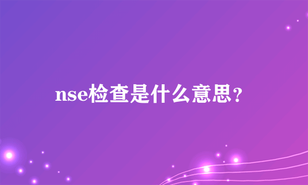 nse检查是什么意思？