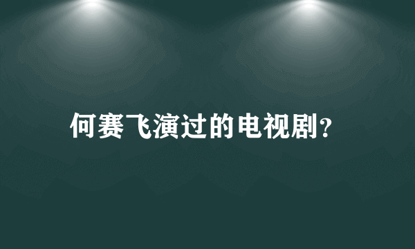 何赛飞演过的电视剧？