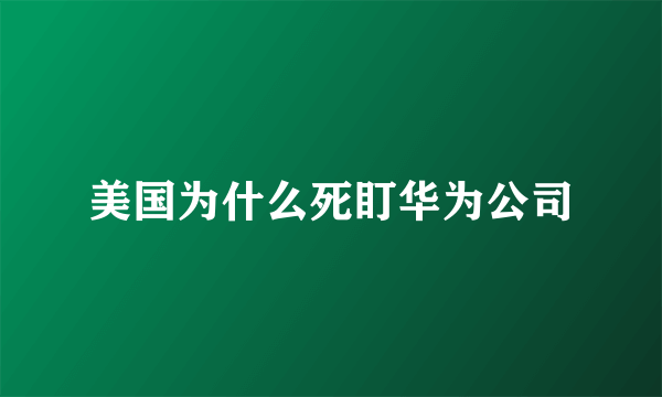 美国为什么死盯华为公司