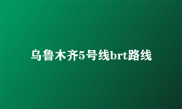 乌鲁木齐5号线brt路线