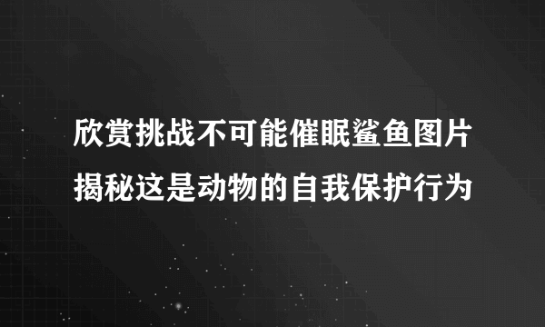 欣赏挑战不可能催眠鲨鱼图片揭秘这是动物的自我保护行为