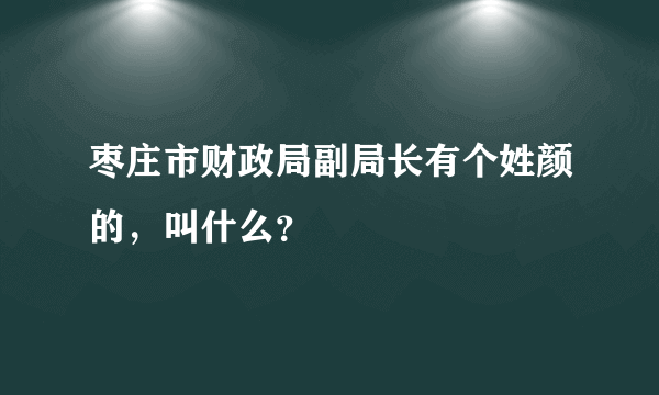 枣庄市财政局副局长有个姓颜的，叫什么？