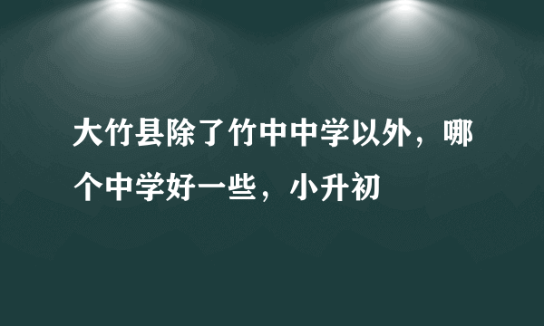 大竹县除了竹中中学以外，哪个中学好一些，小升初