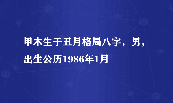 甲木生于丑月格局八字，男，出生公历1986年1月