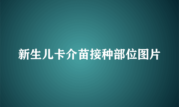 新生儿卡介苗接种部位图片