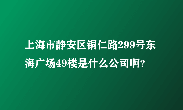 上海市静安区铜仁路299号东海广场49楼是什么公司啊？