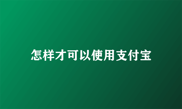 怎样才可以使用支付宝