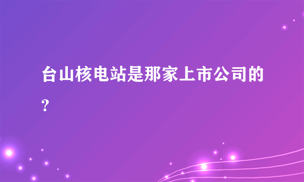 台山核电站是那家上市公司的？