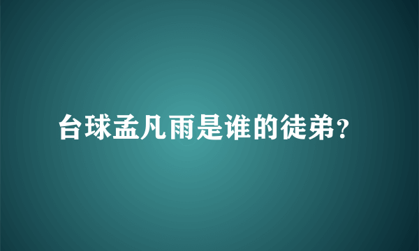 台球孟凡雨是谁的徒弟？